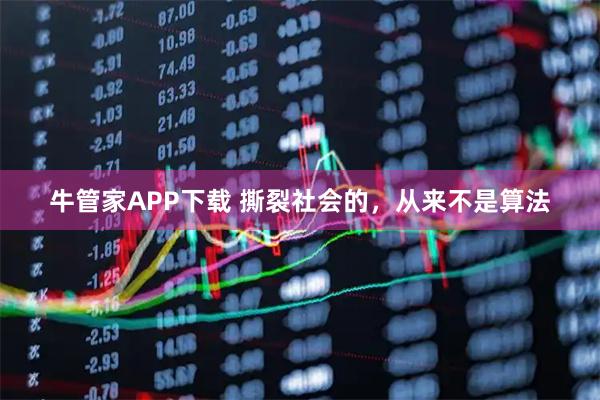 牛管家APP下载 撕裂社会的，从来不是算法
