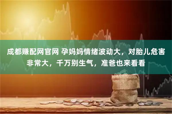 成都赚配网官网 孕妈妈情绪波动大，对胎儿危害非常大，千万别生气，准爸也来看看
