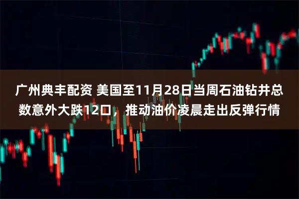 广州典丰配资 美国至11月28日当周石油钻井总数意外大跌12口，推动油价凌晨走出反弹行情