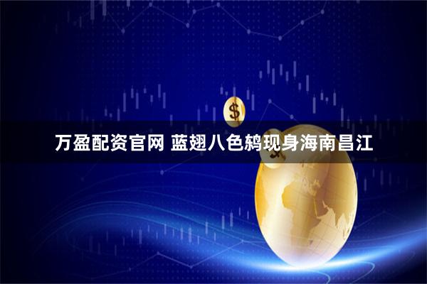 万盈配资官网 蓝翅八色鸫现身海南昌江